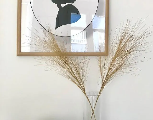 Foodies Location. Surf. Netflix . 3 Bdr * San Sebastian